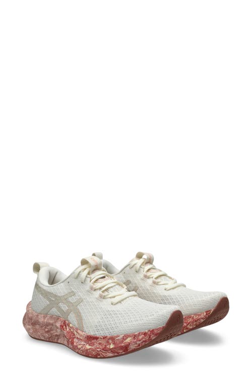 Asics ® Noosa Tri 16 Running Shoe In Cream/breeze