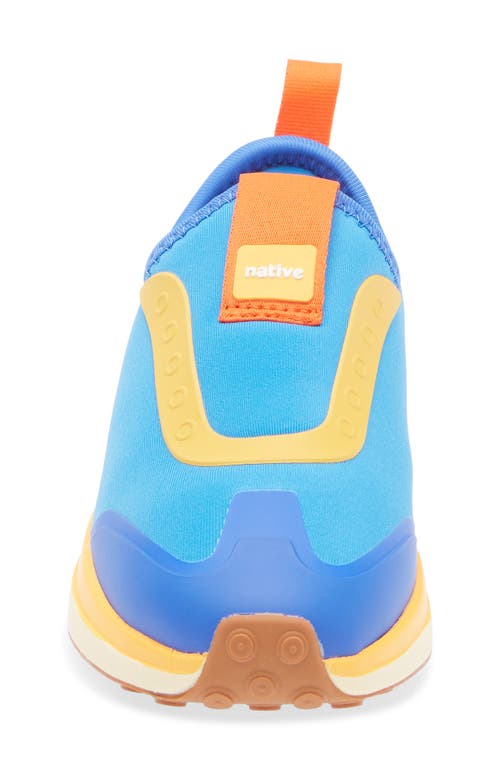 Native Shoes Robbie Dash Slip-on Sneaker In Blue