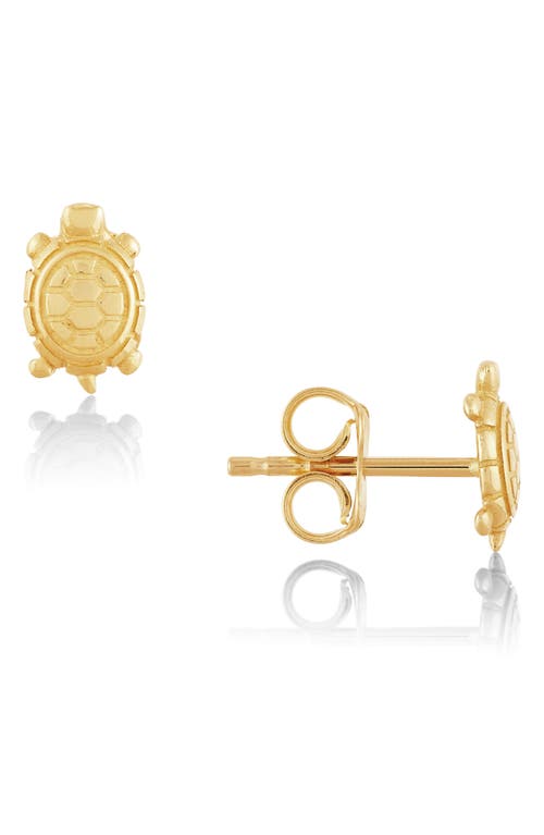 Frankie & Zoe 14k Yellow Gold Turtle Stud Earrings