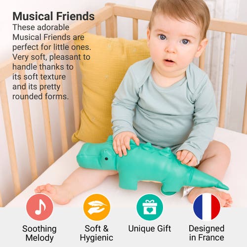 Little Big Friends Musical Animals In Green