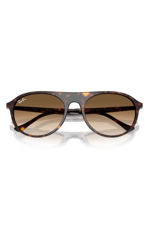 Ray Ban Ray-ban 59mm Gradient Square Sunglasses In Havana
