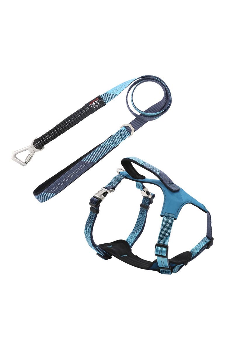 PET LIFE 'Geo-prene' 2-in-1 Shock Absorbing Neoprene Padded Reflective Dog Leash & Harness - Small, Main, color, 