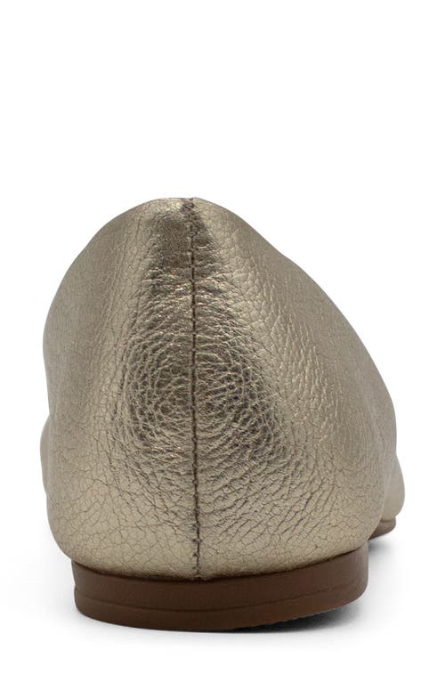 Bottero Botsamya Ballet Flat
