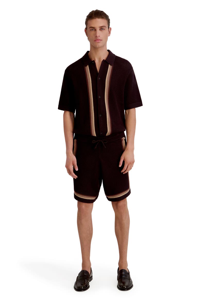 Sweater Knit Stripe Shorts, Alternate, color, BROWN