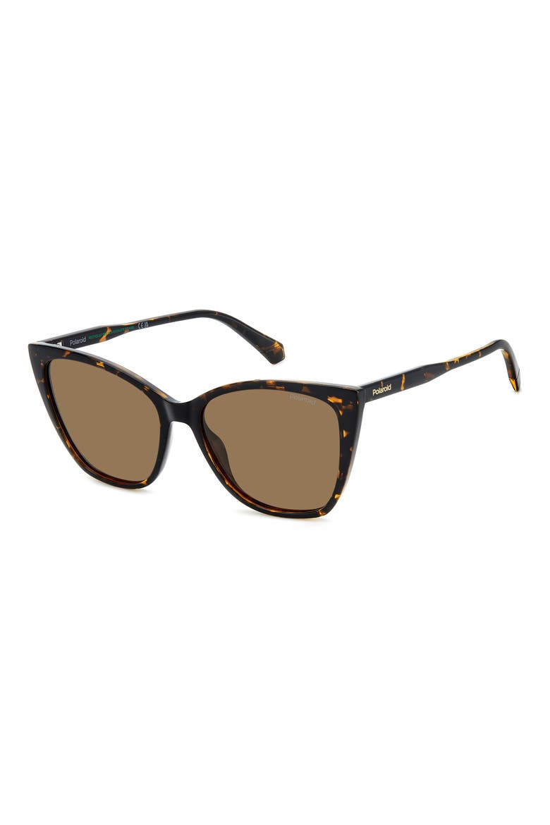 56mm Polarized Cat Eye Sunglasses, Alternate, color, HAVANA/ BRONZE POLAR