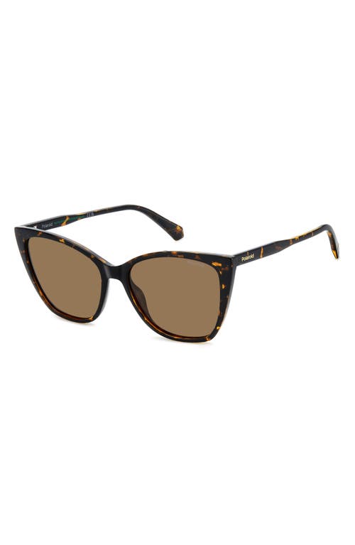 Polaroid 56mm Polarized Cat Eye Sunglasses In Brown