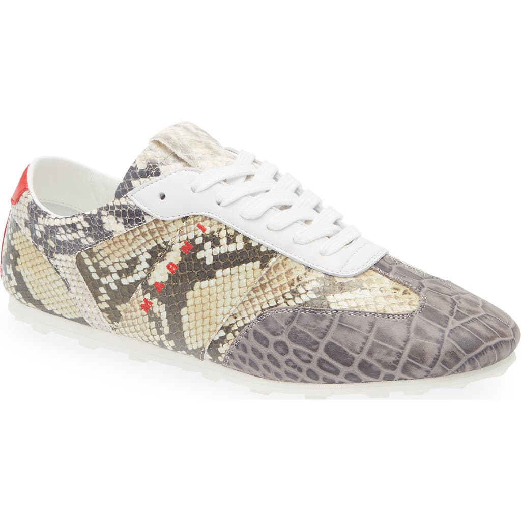 Marni Low Profile Sneaker In Multi
