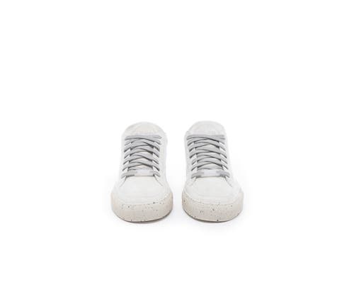 P448 Soho Sneaker In White