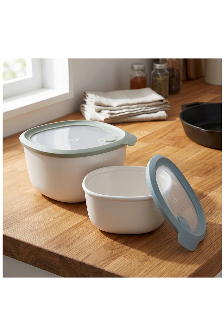 Leo Set of 2 Food Storage Containers, Alternate, color, BLUE/ GREEN