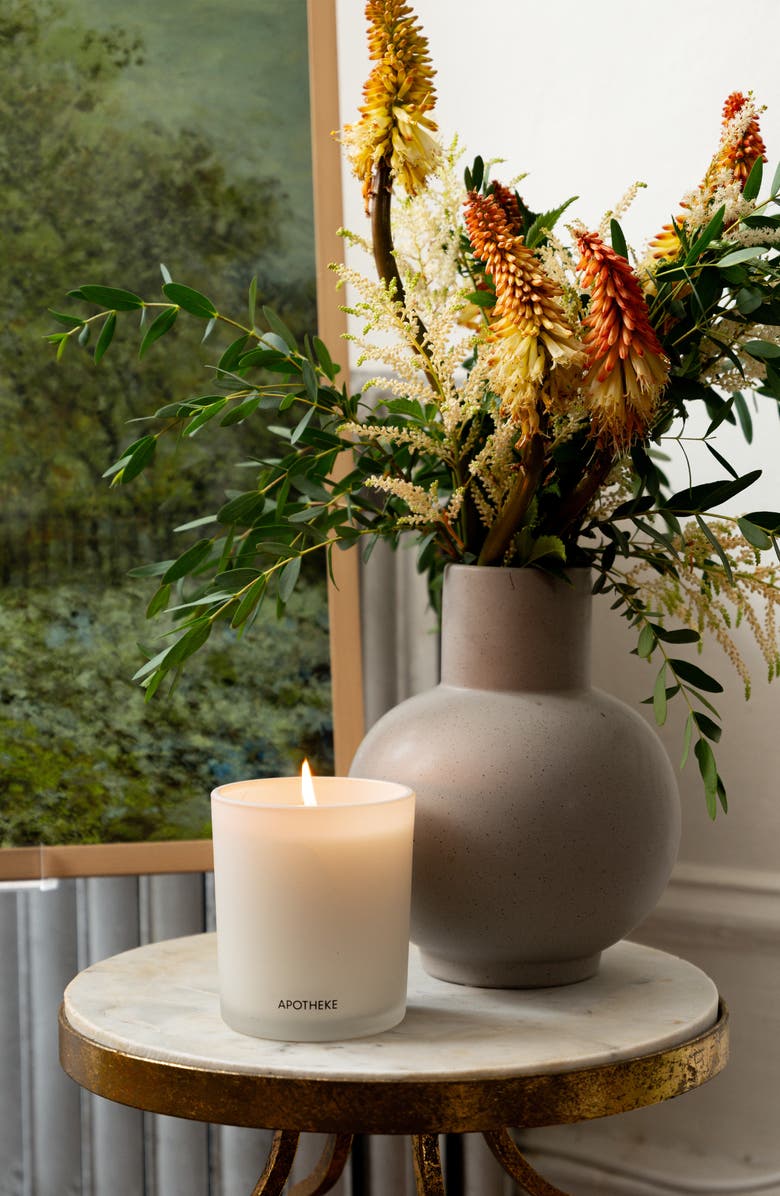 APOTHEKE White Vetiver Classic Scented Candle, Alternate, color, White Vetiver