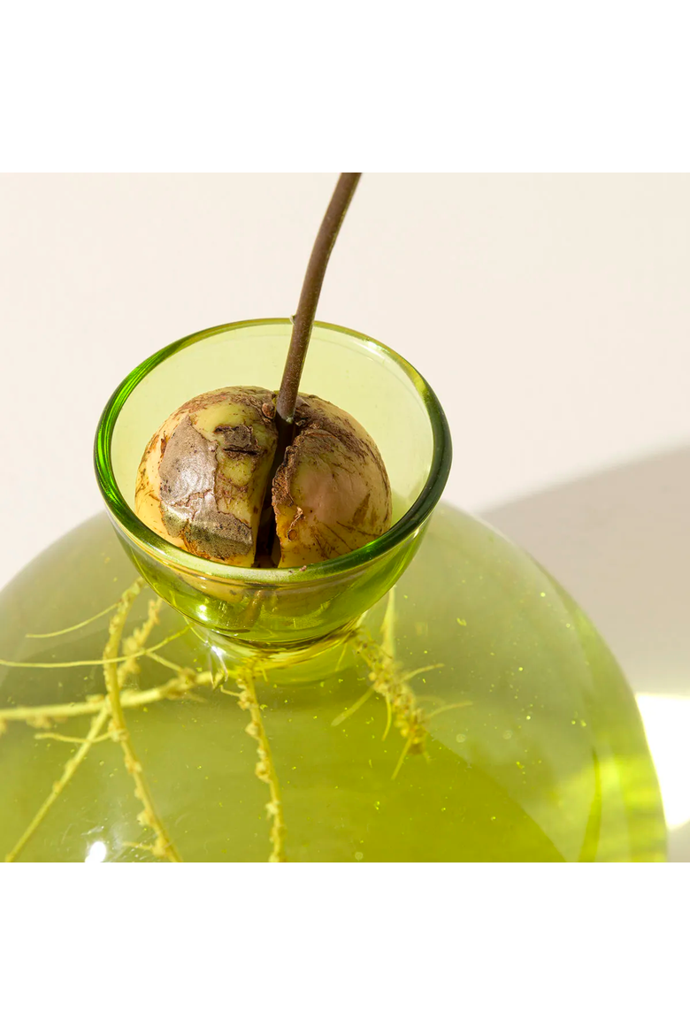 Avocado Vase by ilex Studio, Alternate, color, Grass Green