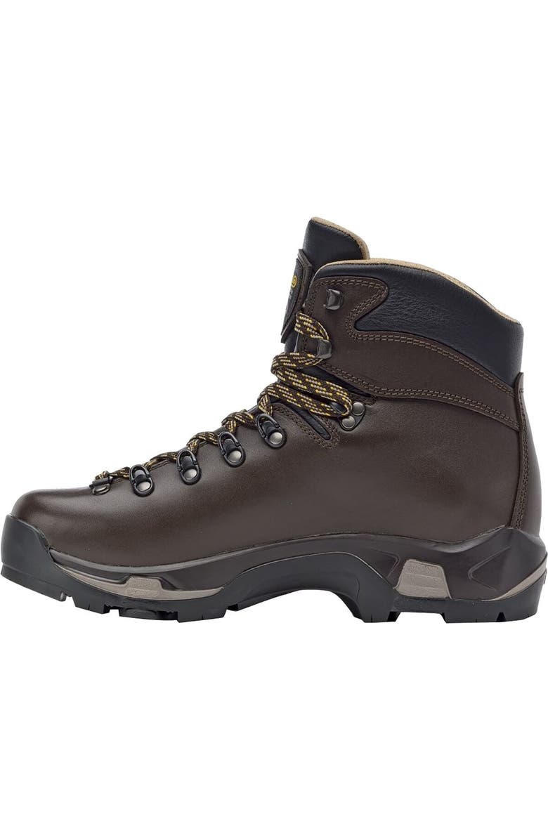 Asolo Tps 520 Gv Evo Wide Backpacking Boot - Men's, Alternate, color, Chestnut