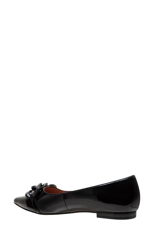 Linea Paolo Nora Pointed Toe Flat In Black