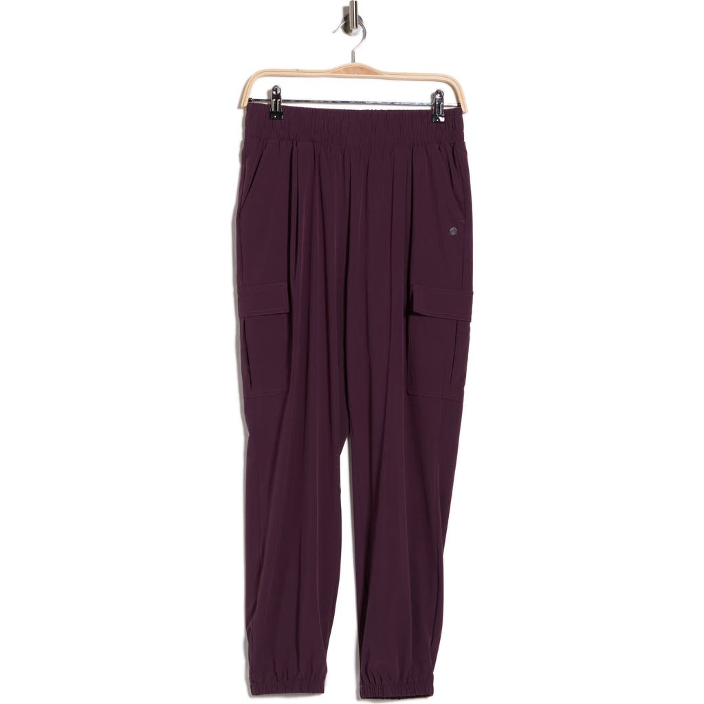 Apana Villa Cargo Joggers In Purple