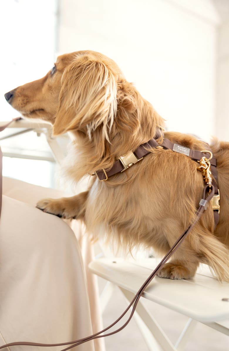 SUNNY TAILS Cloud Lite Waterproof Dog Harness, Alternate, color, Espresso Brown