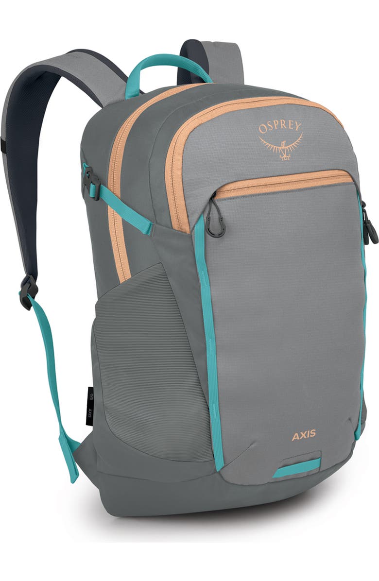 Osprey Axis 24-Liter Backpack, Alternate, color, Medium Grey/ Coal Grey