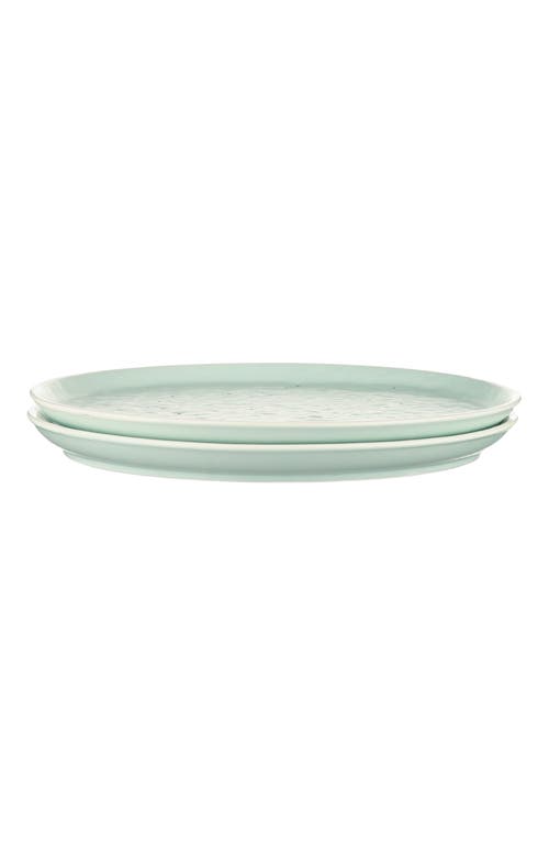 Stone Lain Elena Stoneware 4-piece Dinner Plate Set In Green