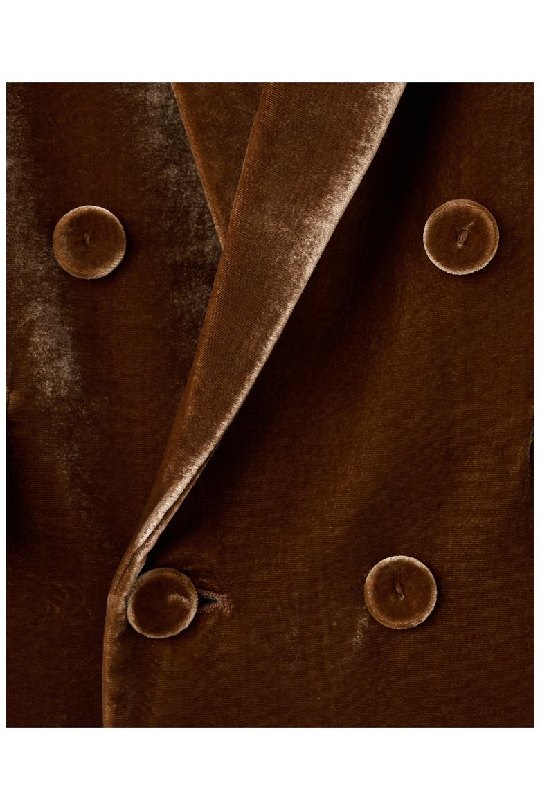 Double Breasted Velvet Blazer, Alternate, color, CARAMEL