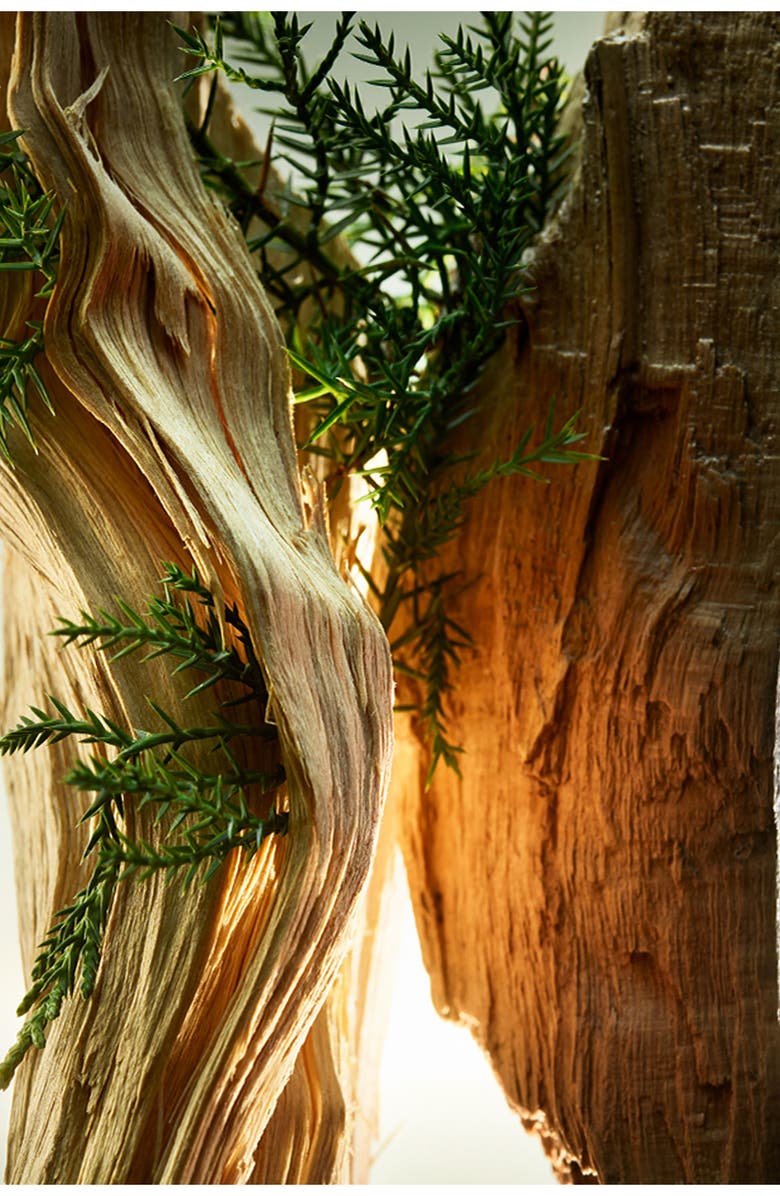 BVLGARI MAN Wood Essence Eau de Parfum Gift Set, Alternate, color,