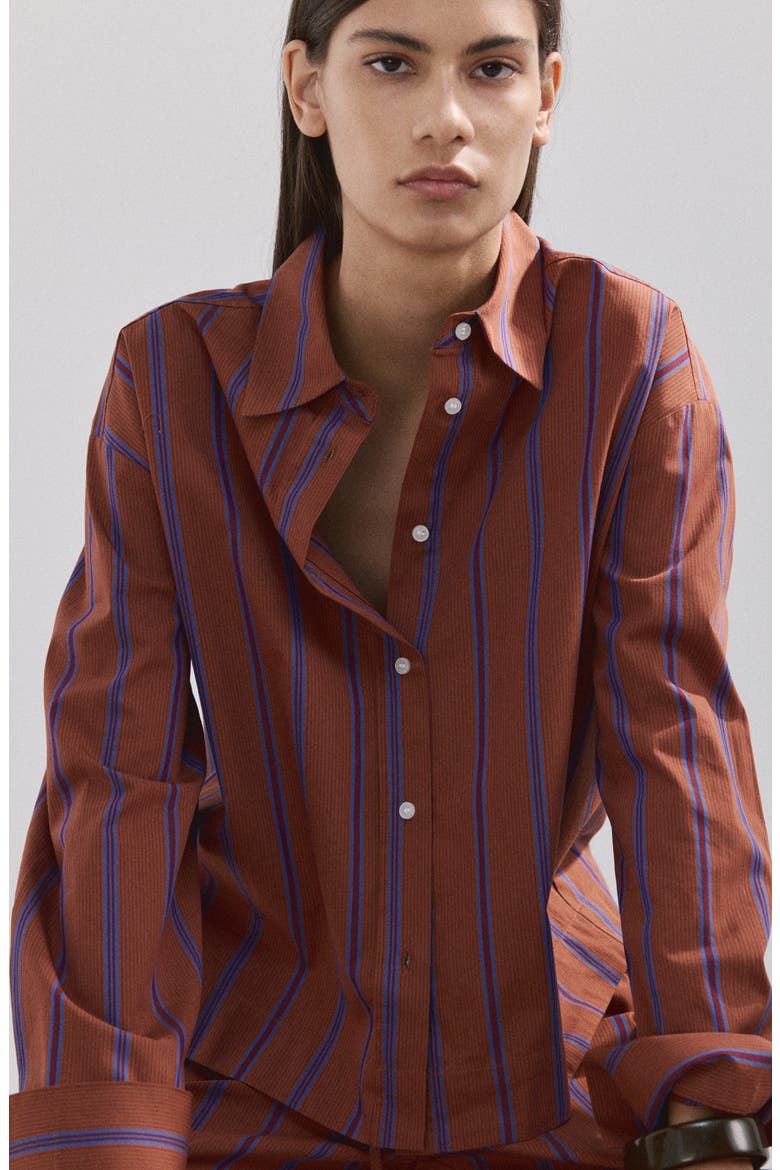 Stripe Cotton Shirt, Alternate, color, RUSSET
