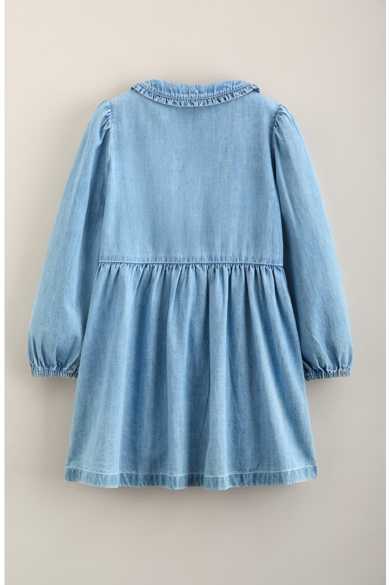 Kids' Ruffle Collar Cotton Dress, Alternate, color, LIGHT AQUAMARINE WASH