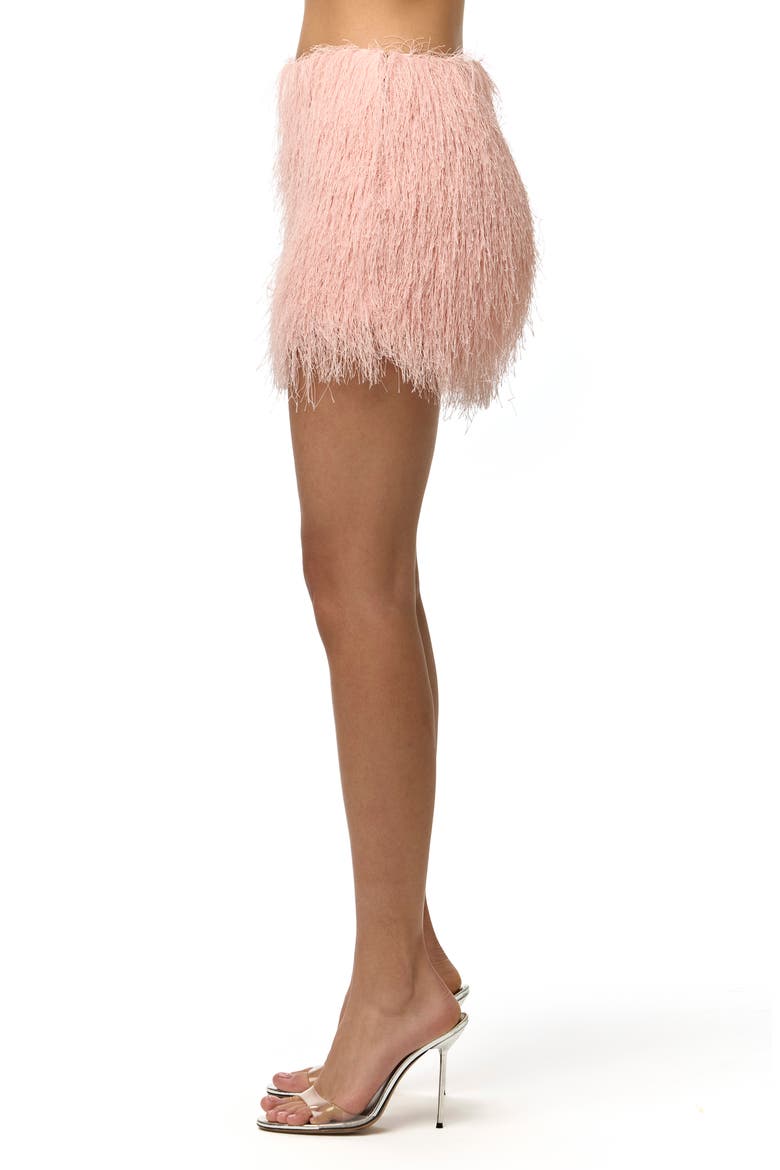 Fringe Miniskirt, Alternate, color, PEACH