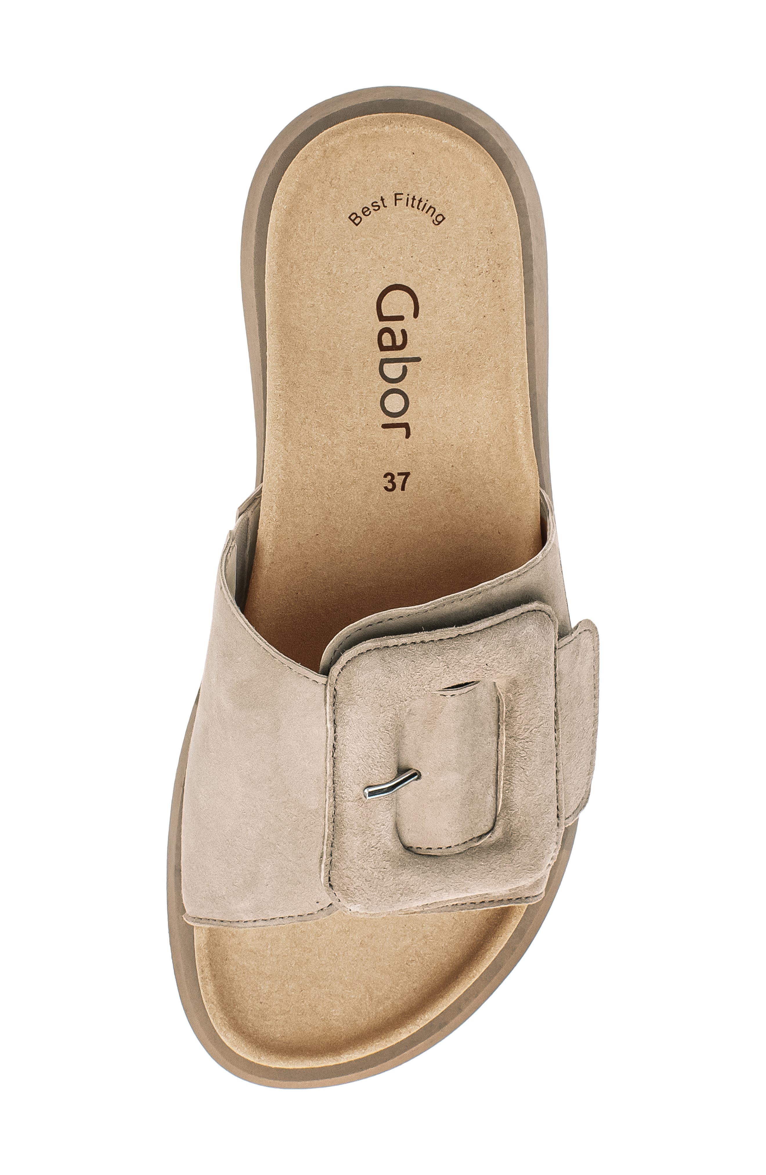 Gabor Buckled Platform Slide Sandal, Alternate, color, 