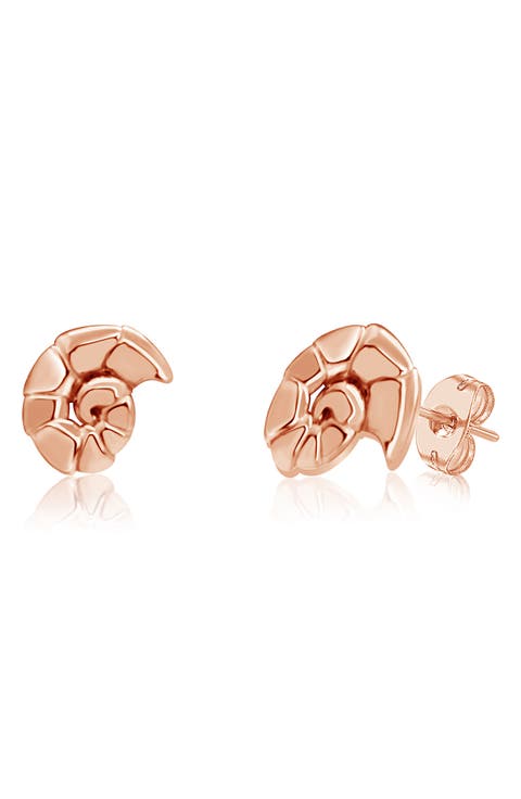 Kids' Seashell Stud Earrings