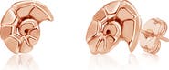 Chanteur Kids' Seashell Stud Earrings
