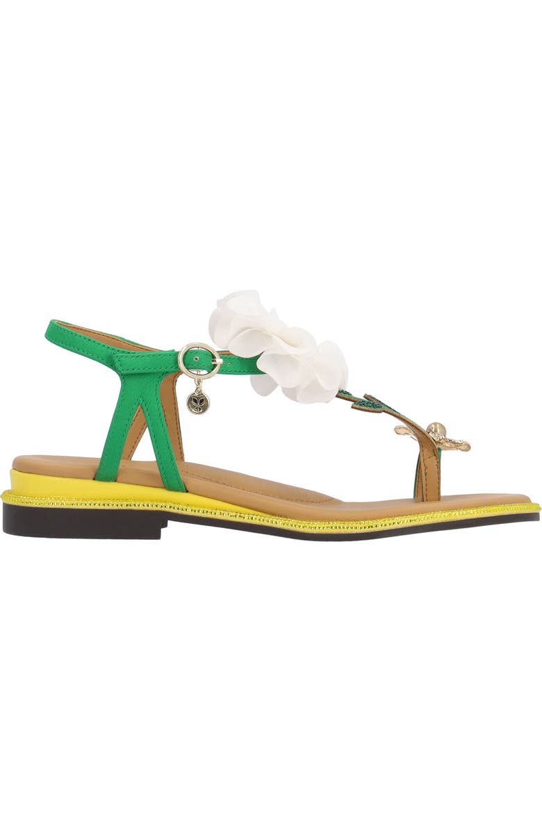 J. Reneé Dazee Toe Loop Sandal, Alternate, color,