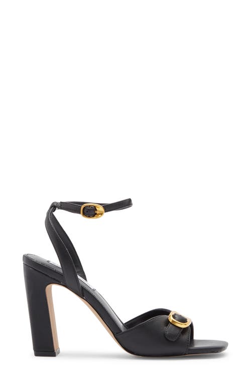 Steve Madden Lilliana Ankle Strap Sandal In Black