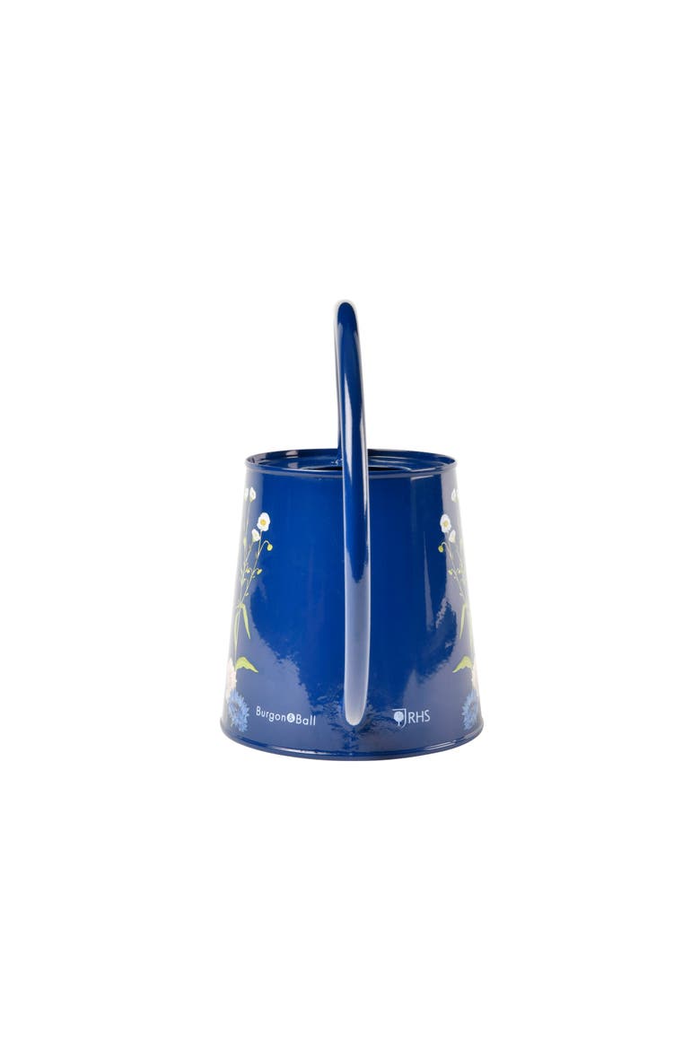 British Meadow Indoor Watering Can, Alternate, color, Blue