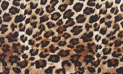 Karen Kane Leopard Print Side Slit Maxi Skirt In Brown