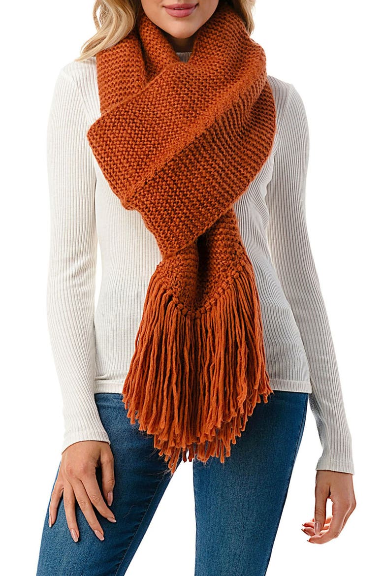 Crochet Fringe Scarf, Main, color, RUST
