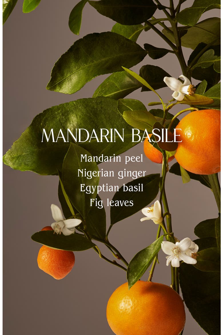 Hand Cream, Alternate, color, MANDARIN BASILE