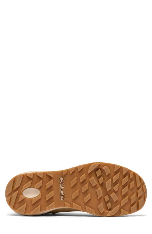 Columbia Newton Wander™ Waterproof Hiking Boot In Brown