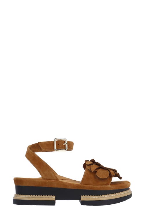 L'amour Des Pieds Alaric Ankle Strap Platform Sandal In Coffee