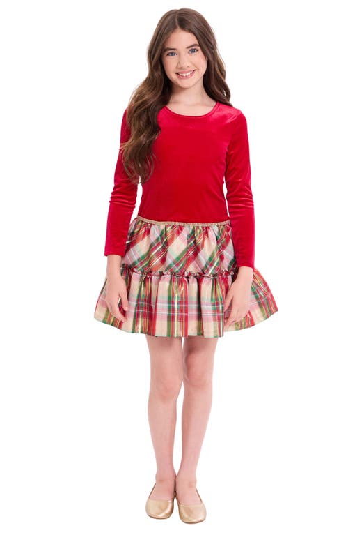 Iris & Ivy Kids' Long Sleeve Velvet & Plaid Dress In Multi