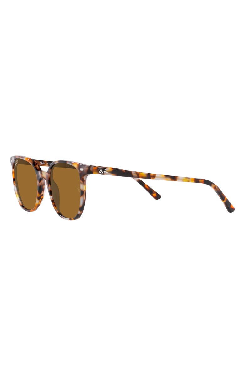 Ray-Ban Elliot 52mm Polarized Square Sunglasses, Alternate, color, Brown Havana