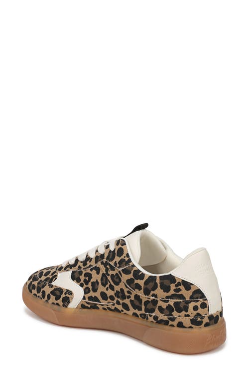 Blowfish Malibu Tastic Sneaker In Tan/black