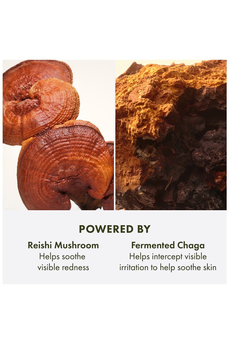 Mega-Mushroom Relief & Resilience Advanced Face Serum, Alternate, color, NO COLOR