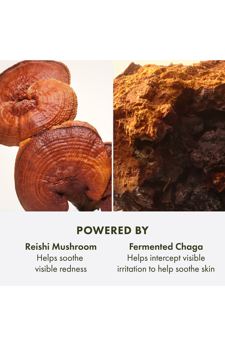 Mega-Mushroom Relief & Resilience Advanced Face Serum