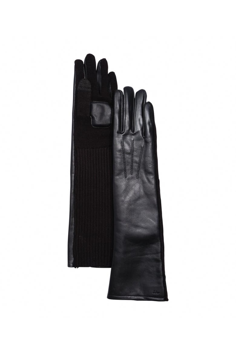 Fully Long Leather Glove, Alternate, color, Black