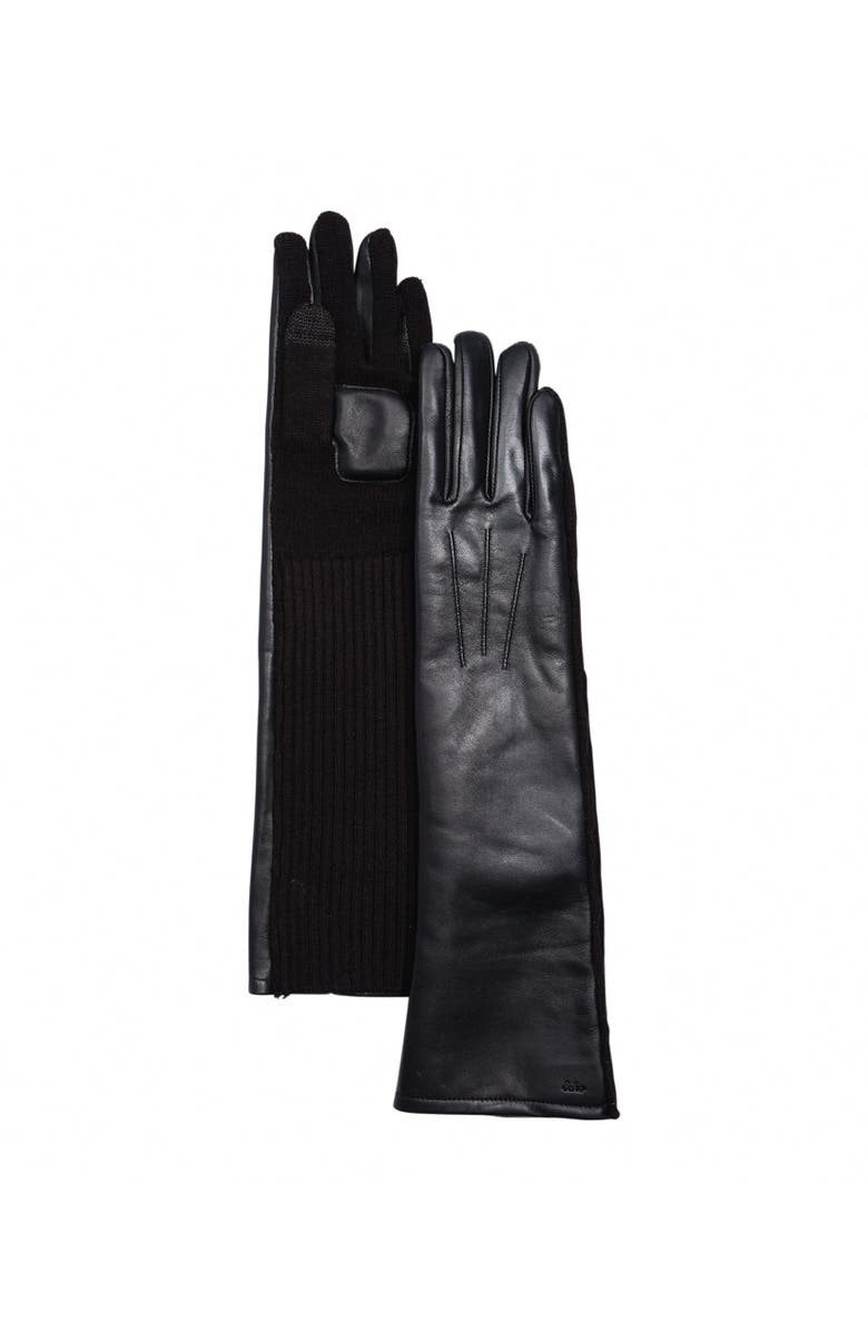 Echo Fully Long Leather Glove, Alternate, color, Black