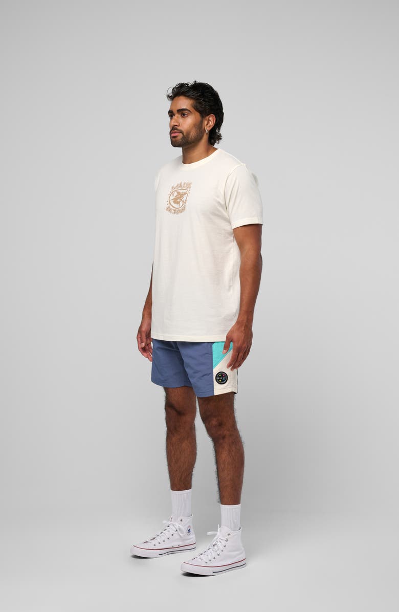 Maui & Sons Tijuana Shark Graphic T-Shirt, Alternate, color, Bone