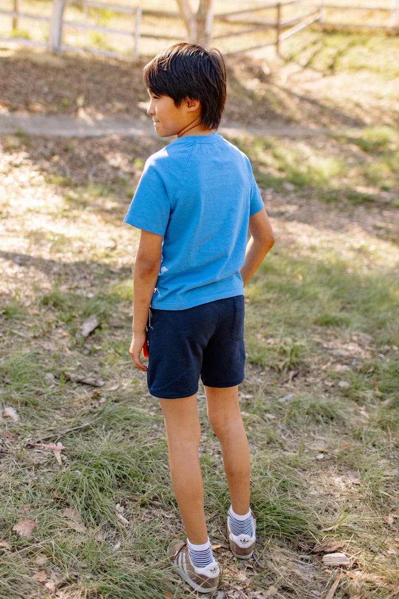 Kids' Organic Cotton Raglan T-Shirt, Alternate, color, Regatta Blue