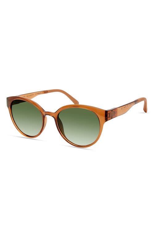 Eco Avala 53mm Polarized Round Sunglasses In Brown