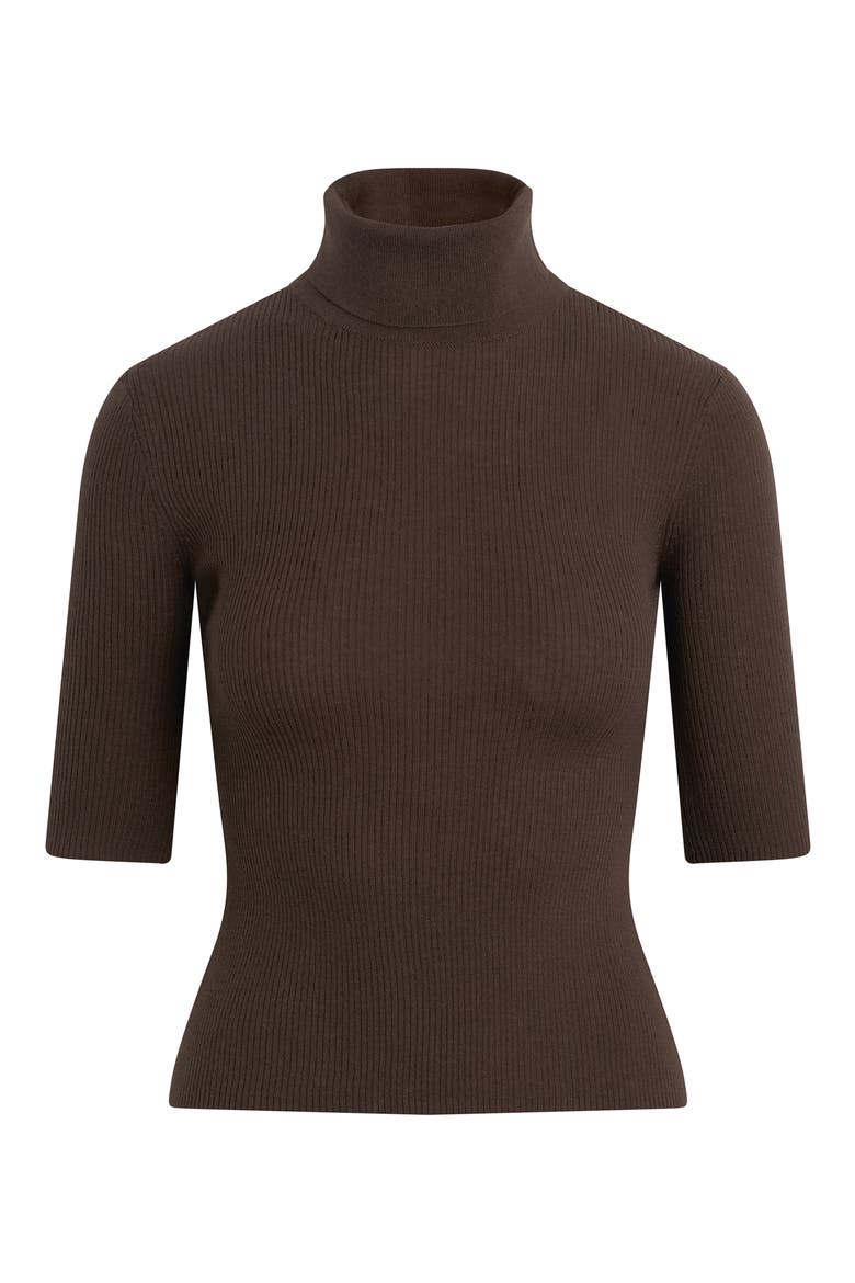 The Amelia Merino Wool Turtleneck Top, Alternate, color, COFFEE