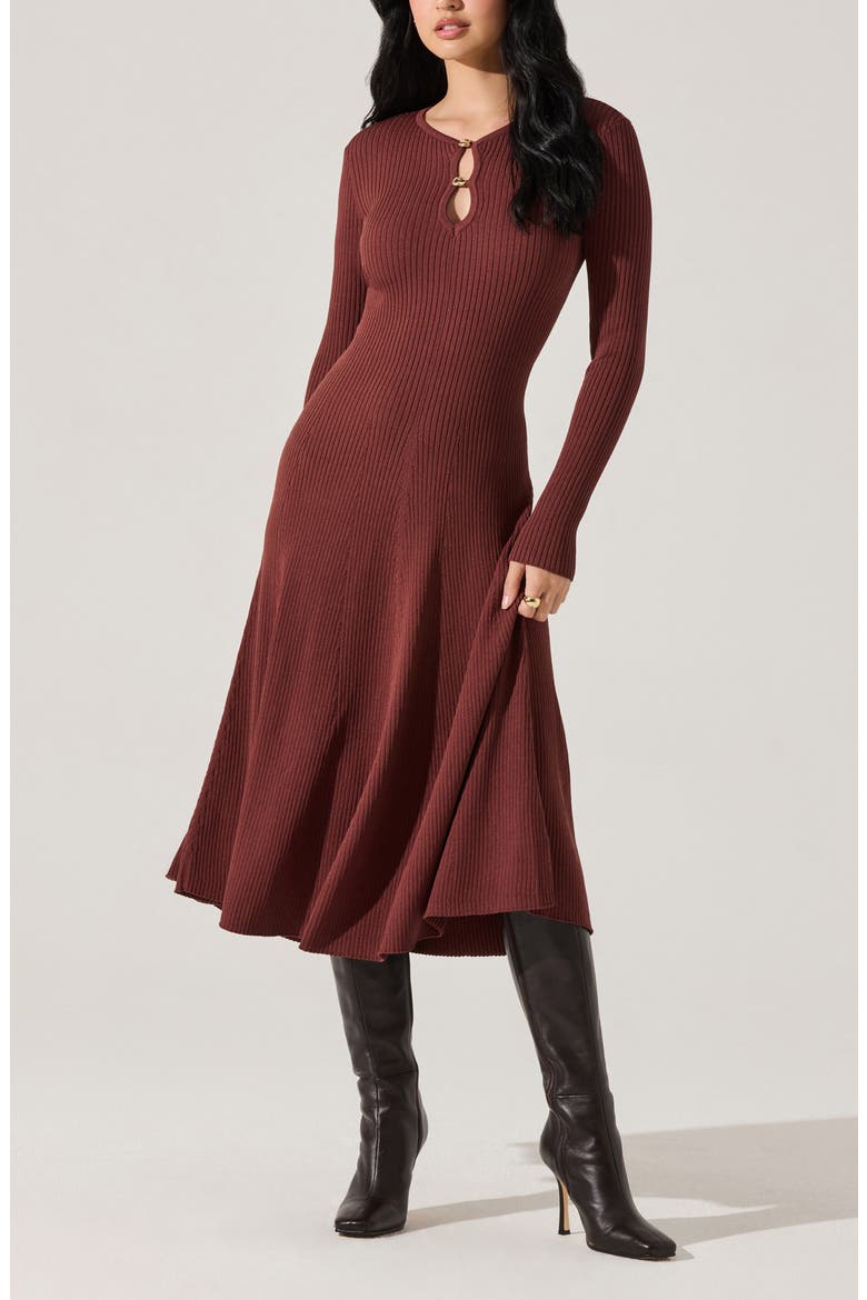 Fallyn Rib Long Sleeve Sweater Dress, Alternate, color, BROWN