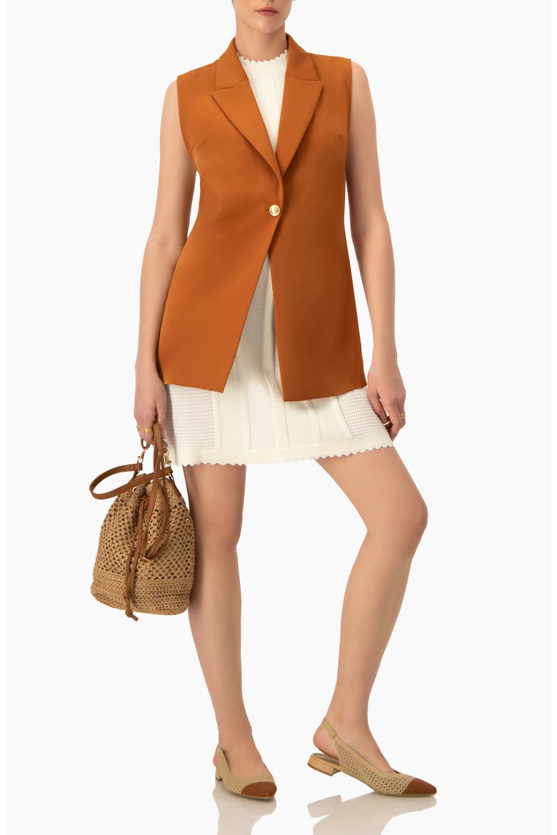 Single-button Tailored Vest, Alternate, color, Brown